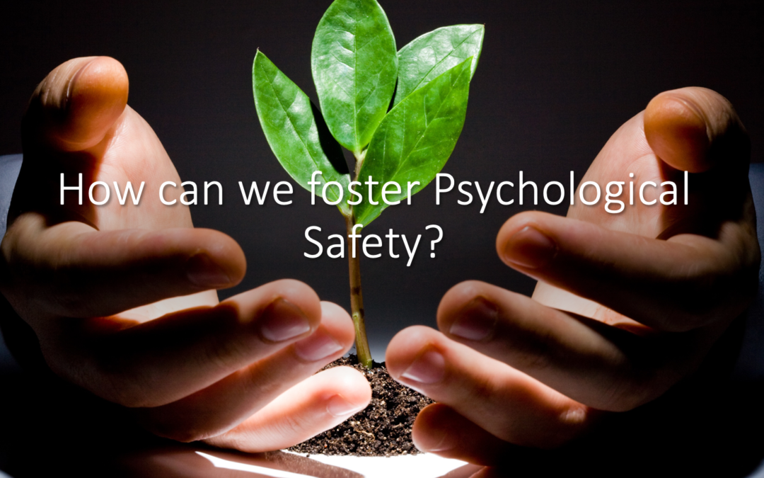 Psychological Safety Workshop with VMI